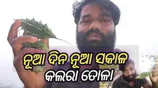 ନୂଆ ଦିନ ନୂଆ ସକାଳ....ଫସଲ ତୋଳା #khantiodiabhubaneswartoka4138 #bhubaneswara #youtube #video 