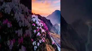 colour full nature short😻💜#nature #natureappreciation#naturelovers #fyp #fypyoutubeshort