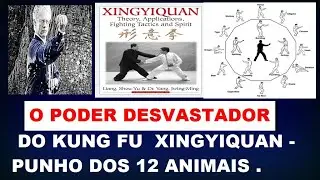 kung fu  estilo XINGYIQUAN , PUNHO DOS 12 ANIMAIS .