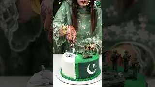 defence day Pakistan 🇵🇰 thank you our heroes #shortsfeed #cake #chocolatecake #pakistani #defenceday
