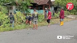 Trabas - trabas jaringan listrik Dusun Ngleri Wetan