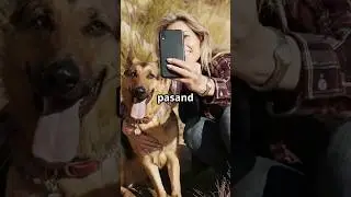 Instagram के पीछे की #InstagramFacts #SocialMedia #InterestingFacts #ViralContent #InstagramSecrets
