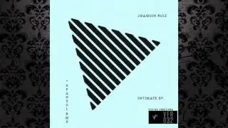Joaquin Ruiz - Sense (Original Mix) [VECTOR FUNCTION RECORDS]
