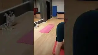 Partner Yoga. Yoga for 2. 🙂 🙏 | Йога в парах. Йога для двоих. 👯&zwj;♂️ | .יוגה בזוגות 🤸&zwj;♂️🤸&zwj;♀️
