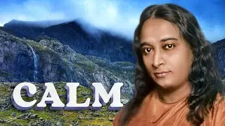 Stay Calm amidst Chaos | @PYQ24