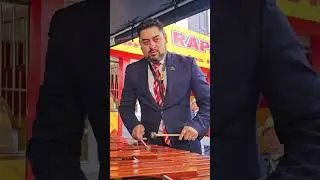 AVE LIRA CENTENARIA MARIMBA DOMINGO BETHANCOURT QUETZALTENANGO GUATEMALA