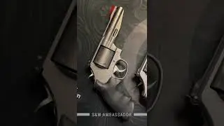 You can only pick 1 - .357, .44 Magnum or 350 Legend (Ad)