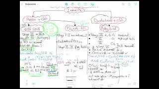 Endometrial Carcinoma Management 2 in depth: immunotherapy - targeted therapy