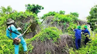 Shocking Transformation:Clearing a Creepy Overgrown House &mdash; You Won&rsquo;t Believe What Was Hidden Inside