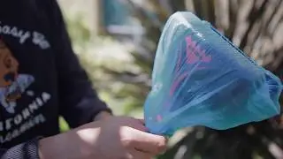 Pet Owners: Clean Up After Your Dog with the Ettore Grip'n Scoop