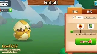 NEW PET SYSTEM FEATURE IN DRAGON CITY ❤️