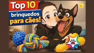 Top 10 brinquedos para cães! Precisamos falar de brinquedos que apitam! 🐶🧸