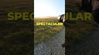 Behind the scenes POV wildlife photography shoot with wild horses #wildlife