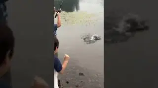 bucket mouth bass