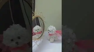 DIY cute tissue dog🎀 #shorts #diy #craft #youtubeshorts #trending