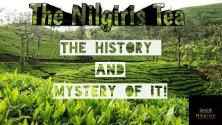 The Nilgiris Tea