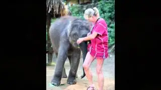 Patara Elephant Day Thailand with Yvonne and Chris