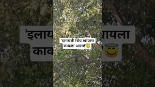 'निशाचं निरीक्षणं!' #school #smartkids #funny #viralshort #education #teacher #viral