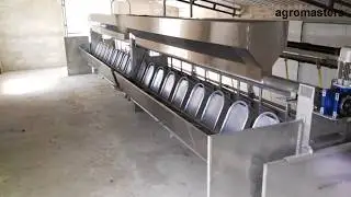 agromasters - Rapid exit milking system  ( Sheep )