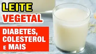 LEITE DE ALPISTE - Benefícios para Saúde, Diabetes, Inflamação, Colesterol,... - Como Fazer e Dicas