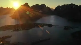 Harald Nies - In Nature