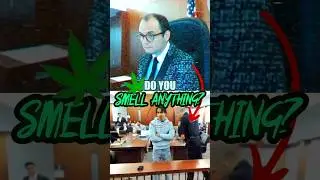 🥦Судья спрашивает: &laquo;Вы сейчас под кайфом?&raquo; | Судья Флейшер