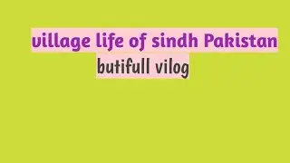 Life in Our Village | Beautiful Vlog from Sindh, Pakistan 🌾🏡