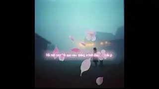 1970 Thương Người Con Gái - Ca Lê Official Audio