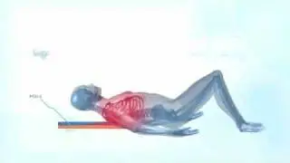The BackMitra - How does it work?