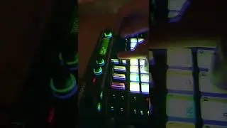 Short live Acid House jam on the Roland MC-101 Groovebox #livelooping  #rolandmc101 #housemusic