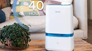 LEVOIT Humidifiers for Bedroom, 4L Cool Mist Ultrasonic for Plants Baby with Essential Oil Tray