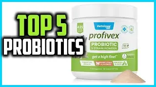 ✅Top 5 Best Probiotics for Dogs in 2024