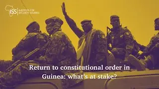Return to constitutional order in Guinea: what’s at stake?