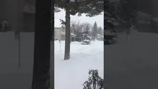 L&rsquo;hiver au Canada - R&eacute;gion Montr&eacute;al