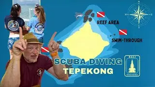Tepekong Tales: Unveiling Bali's Best Kept Diving Secret #scubadiving #bali #padangbai