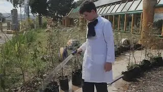 Экошкола в Уругвае: дети учатся жить в гармонии с природой (новости)