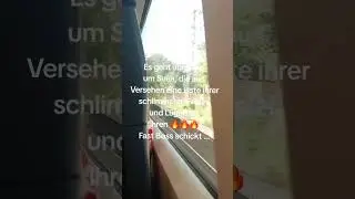 Ich will dies, das und dich ❤ #shorts #booktube #booktubegermany #bossromance #liebesroman #romcom