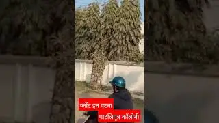 Plot in Patna/patliputra Colony/12kattha/clean plot!!
