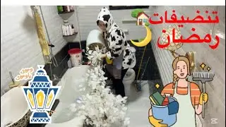 تنضيفات☘️ اللي تريح الأعصاب الرغوة 🧼 والريحة الحلوه خليت آلبيت🏡 فلة☺️🌸روتين من غير تعب 🥰رتبت للي جاي
