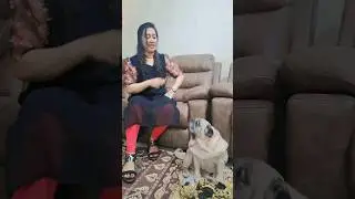 Na peru hippi lahari 😂😂 #reels #shorts #viralshorts #comedy #fun #hilarious #video #viralvideos