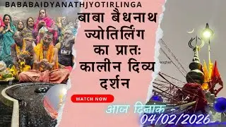 बाबा बैधनाथ का प्रातः कालीन सरदारी पूजा का दिव्य दर्शन 🔱 आज दिनांक - 04/02/2026 #shorts