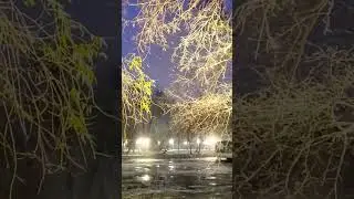 Bucharest, Romania | Night Snow | Winter in January 2024