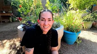 Chef Tamara Stanger - The Chickpea