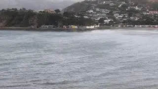 Titahi Bay surf cam live
