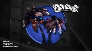 Jake Dile, DJ BAUR - The City (Streaming Edit) [Palmlands Records]