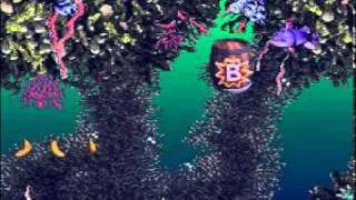 Donkey Kong Country 3 (SNES) - Fish Food Frenzy