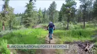 Lincoln national forest