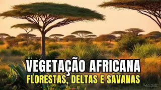 Vegeta&ccedil;&atilde;o africana - Florestas, deltas e savanas