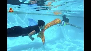 Mermaid VS Shark Pie Face Sky High! Family Game | Toys Academy