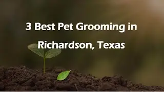 3 Best Pet Grooming in Richardson, Texas | Pet Salons